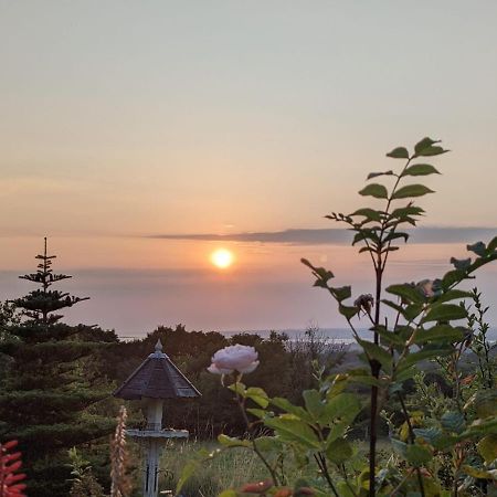 Hafoty Farm Cottages Caernarfon Buitenkant foto