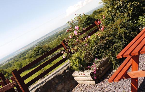 Hafoty Farm Cottages Caernarfon Buitenkant foto